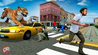 Angry Tiger Family Sim City Attack (CITY) iOS/Android Gameplay Video