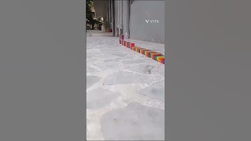 a new type of big Domino trick with building in slow motion and  reverse #trending Domino