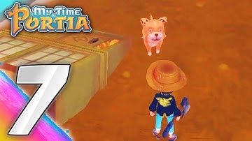 MY TIME AT PORTIA: PART 6 FINDING A DOG SCRAP