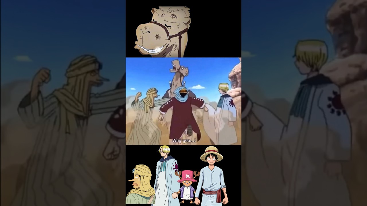 HILARIOUS One Piece Clips | Alabasta Arc | Eyelashes Vs Strawhats 