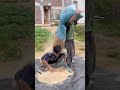 Thank you, brother, for rescuing me from the pile of wheat!!#comedy #funny