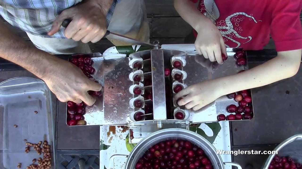 A Bowl Of Cherries | Wranglerstar