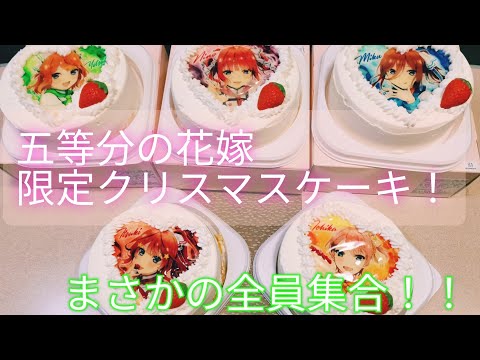 まさかの全員集合！？限定 クリスマスケーキ 五等分の花嫁 5等分の花嫁