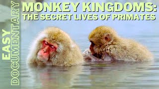 Monkey Kingdoms: The Secret Lives of Primates - Full Nature Documentary