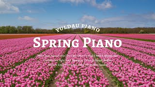 [playlist] 따사로운 봄날 ⎮ 푸릇푸릇 싱그러운 바람이 느껴지는 피아노 연주