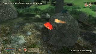 картинка: The Elder Scrolls IV Oblivion  4 серия