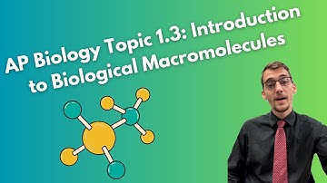 (2019 curriculum) 1.3 Introduction to Biological Macromolecules - AP Biology