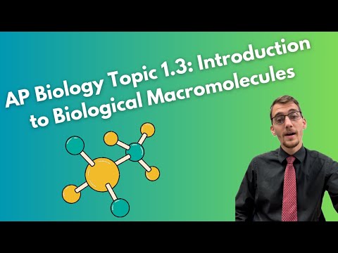 1.3 Introduction to