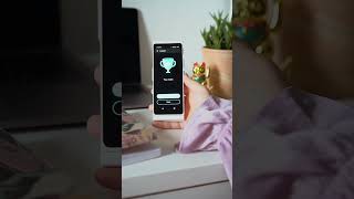 Vasco Translator Can Help You With Studying Foreign Languages. We Want To Show You How Here