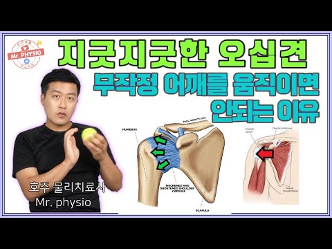 오십견 재활의 핵심: 오십견 운동 전 통증, 염증에 대한 주의사항 및 마사지편