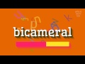 How to say bicameral High Quality Voices