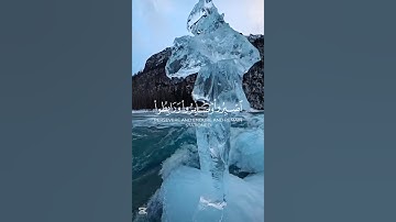 سورة آل عمران 🤍 #قرآن #قران #قران_كريم #ناصر_القطامي #العرب #سورة_آل_عمران