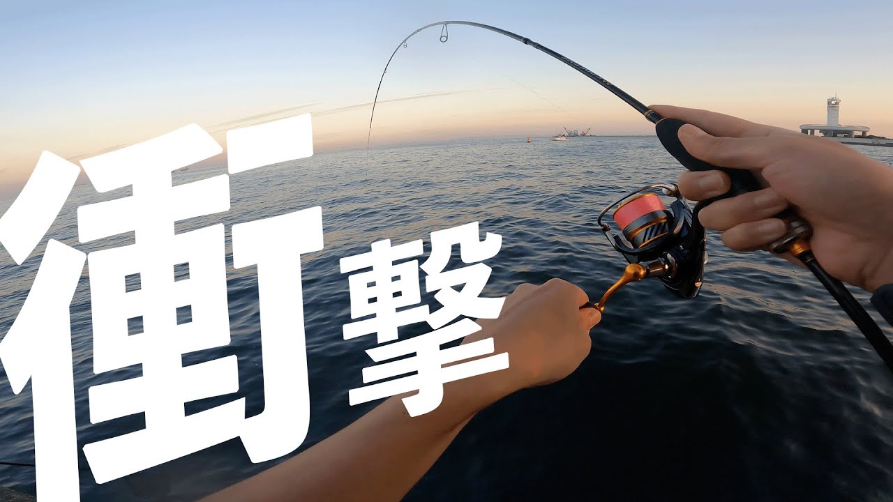 神回 東京湾の堤防でアジを狙ったら 信じられない大物が Youtube