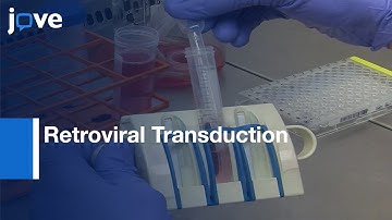 Retroviral Transduction to study Mechanisms of Helper T Cells | ProtocolPreview