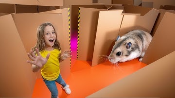 Nastya and the hamster