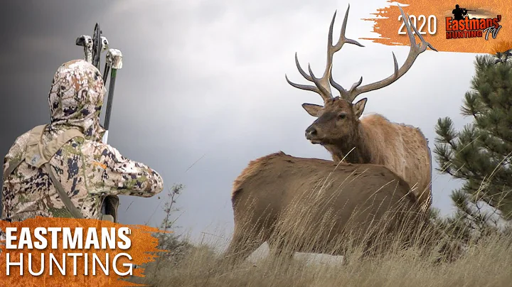 Bow Hunting the Elk Rut with Brian Barney | Eastmans' Hunting TV