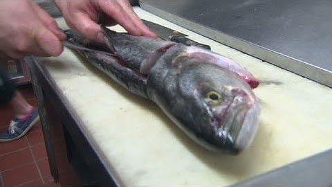 Is sourcing food locally a sustainable biz?