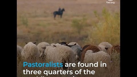 Supporting nomadic herding and pastoral communities in a changing world.