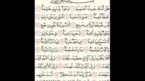 سورة الغاشية للشيخ زكي داغستاني رحمه الله