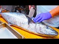 Huge seer fish cutting skills unique seer fish sashimi in port