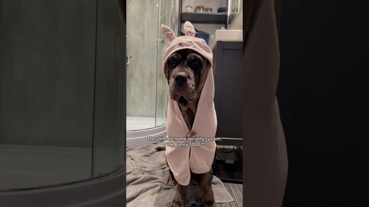 They’d face THIS: the Pink Bunny 3000™ 🐰✨ What’s your security system?