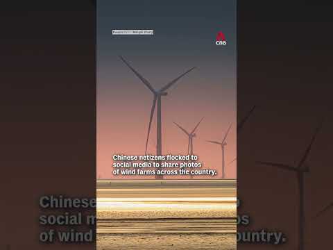 Chinese netizens hit back at Trump's comments that China does not have wind farms
