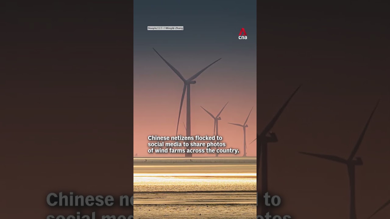 Chinese netizens hit back at Trump's comments that China does not have wind farms