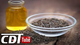 Carvi Vertus Et Bienfaits Pour La Santé Cdt News