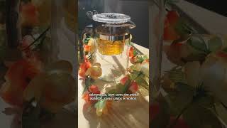 Cha de Anis Estrelado Illicium Verum Hooker Rocha Saude