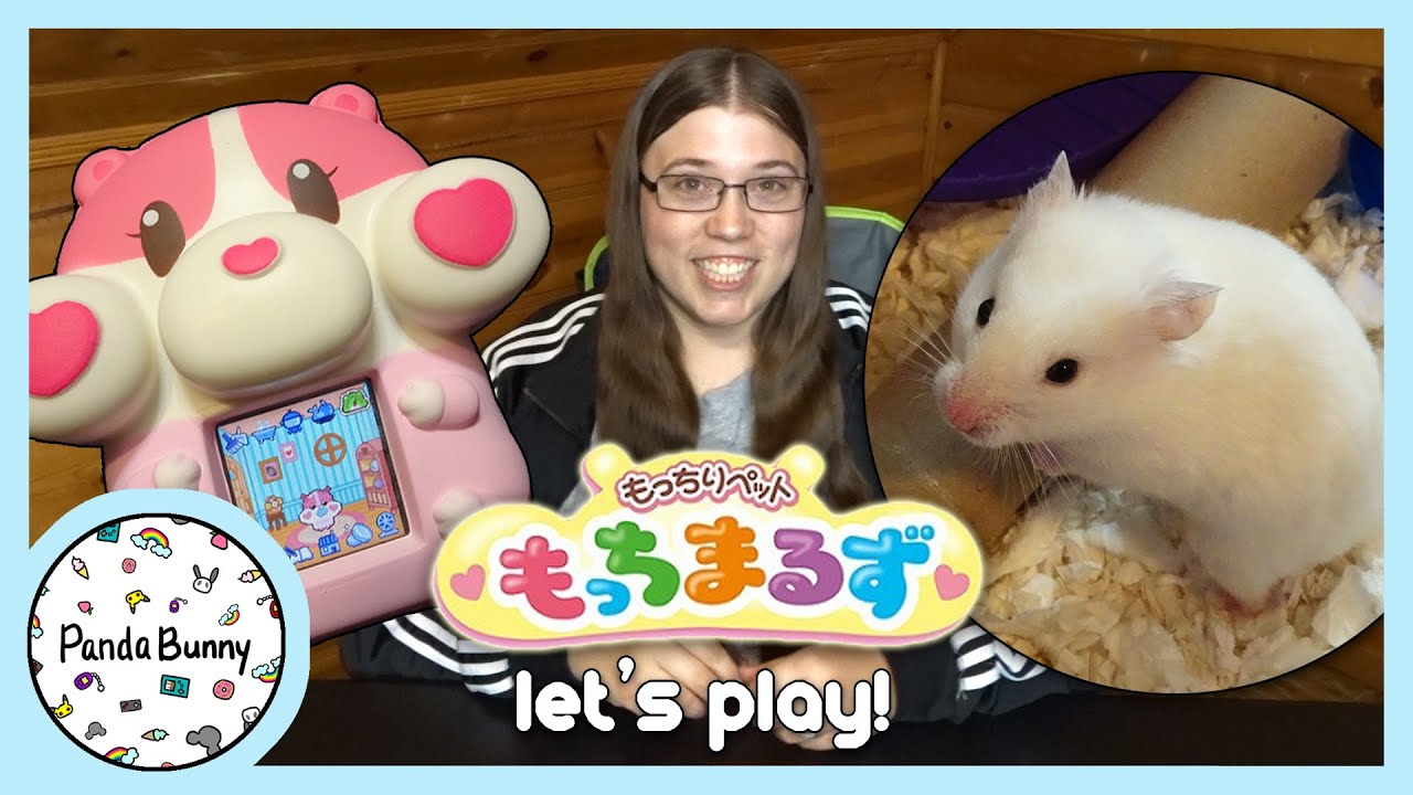 Getting a real pet hamster while playing the MOTCHIMARUZU Sega virtual hamster! | Vlog | PandaBunny