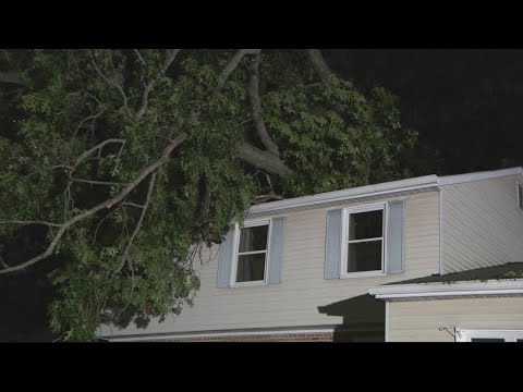 Man found dead after tree fell on his home - YouTube