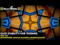 160BPM Gaze Stability VOR Training with Fractal Dizziness Desensitization