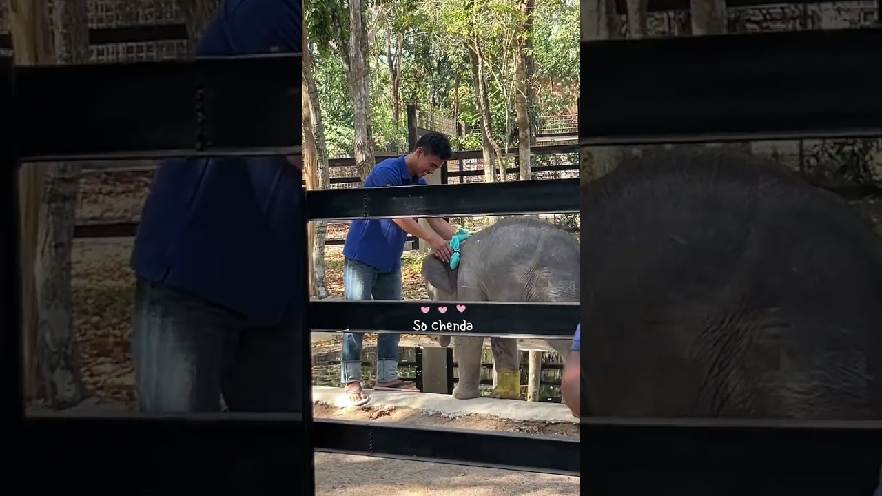 អូនលំផាត់ពាក់ប៊ូហ្វេនទិញអោយខ្ចូតណាស់បងប្អូន 