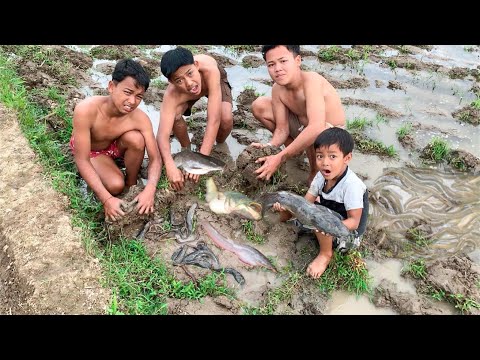 Menggali Belut Dan Ikan Lele di Tanah Sawah Bekas Cangkulan!!