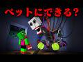『AIのロボット』はペットとして飼える？【まいくら・マインクラフト】