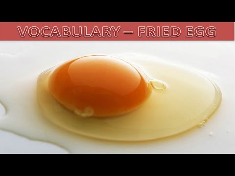 Telur Dadar Meaning In English
