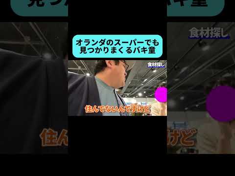 オランダにもバキ童ch視聴者はいるのか… #shorts