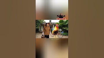 Gà Trống Ngầu Như Capy #capyvsbatam