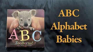 Adorable Animal Adventures: ABC ZooBorns! Book Read Aloud | Educational Children's Storytime
