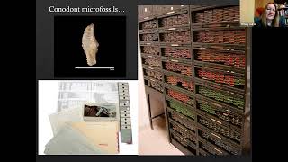 ESCONI General Meeting October 2023 Microfossils to Mosasaurs