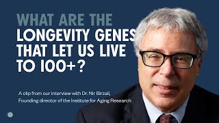 What are Longevity Genes?