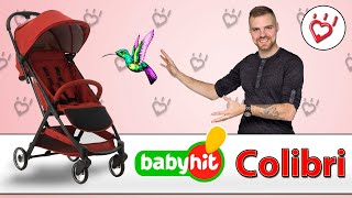Babyhit Colibri - прогулочная коляска легкая и компактная. Видео обзор Бебихит Колибри alisa ua com