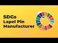 SDG Lapel Pin Manufacturer