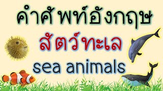 ศัพท์อังกฤษ สัตว์ทะเล Sea Animals