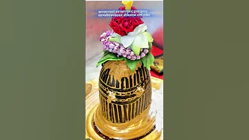 Sanand Manand Vane Vasantam Shiv Mantra Kashivishwanath Kashi Shiv Mahadev Shorts Status 