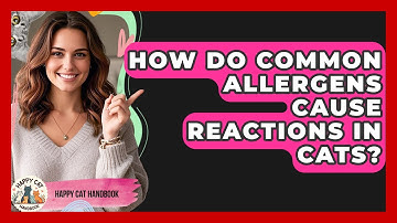 How Do Common Allergens Cause Reactions In Cats? - Happy Cat Handbook