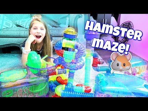 amazing-hamster-maze!-setting-up-hamster-cages-and-tubes-from-crittertrail-shopping-at-petsmart