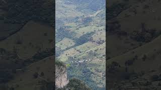 Vegetación La Mirra Texcatepec Veracruz Mx. 12 Febrero 2024.