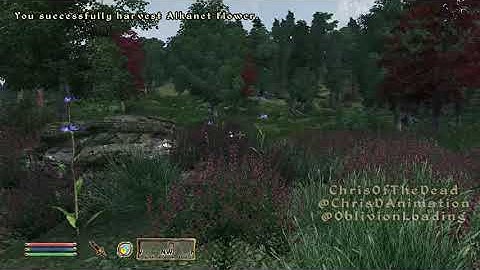 Quest Update - An Oblivion Loading Screen Joke