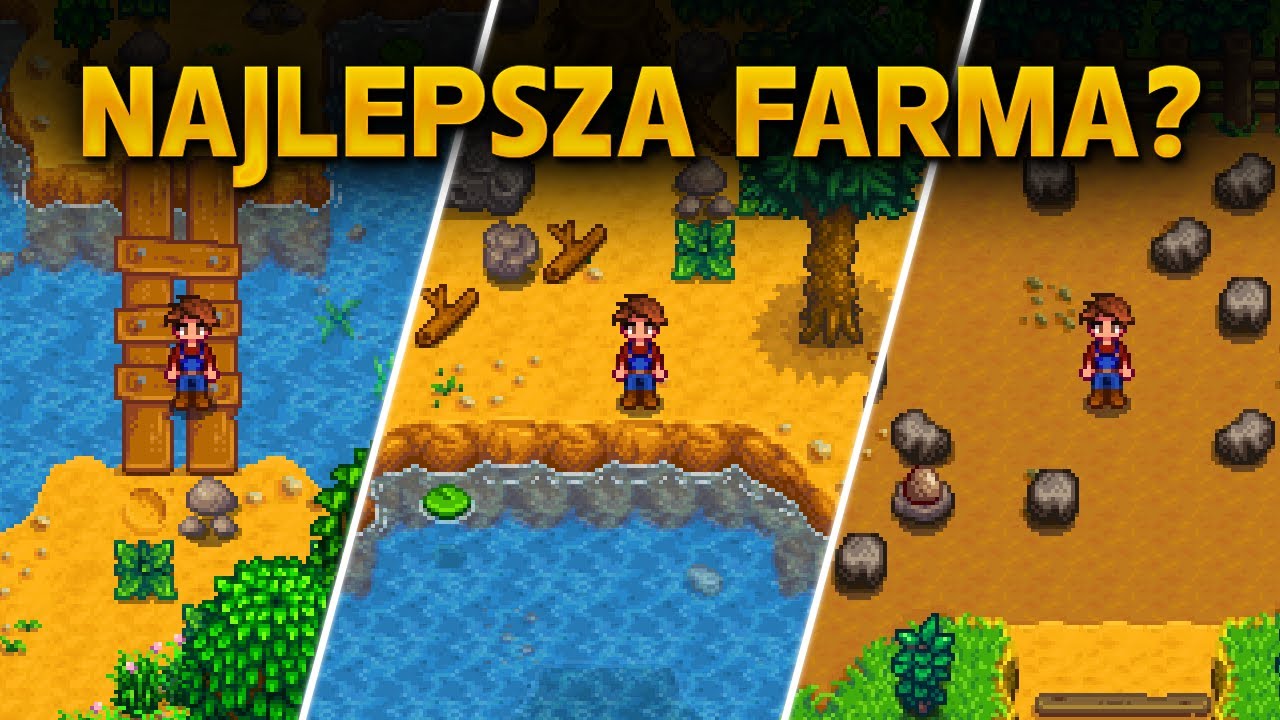 Jaką Farmę Wybrać? 🐓 Kompletny Przewodnik